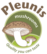 Pleunis mushrooms
